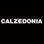 Calzedonia：義大利美腿品牌